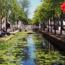 Summer in Delft 16