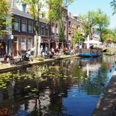 Summer in Delft 18