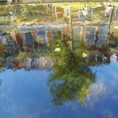 Summer in Delft 17
