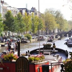 Sunny October Sunday 01