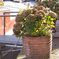 Sunny October Sunday 02