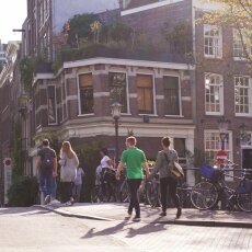 Sunny October Sunday 03