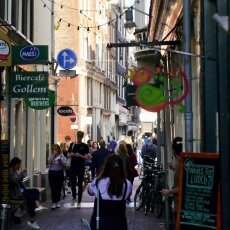 Sunny October Sunday 11