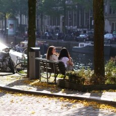 Sunny October Sunday 13