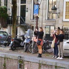 Sunny October Sunday 14