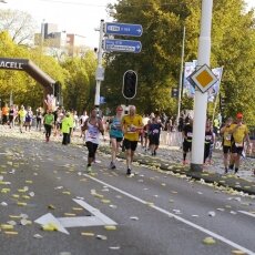 Sunny October Sunday 24