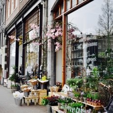Sunny Spring Vondelpark 01