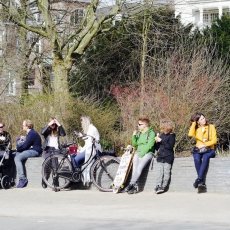 Sunny Spring Vondelpark 02
