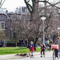 Sunny Spring Vondelpark 05