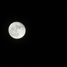 Super Moon March 2011