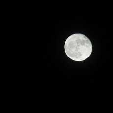 Super Moon March 2011