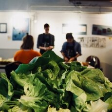 Wasteless Dinner 03