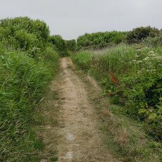 Hiking in Texel 04