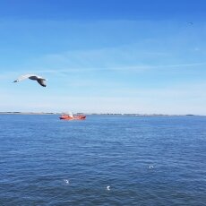 On the ferry to Texel