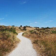 Dunes of Texel National Park 03