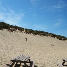 Children playing on the dunes