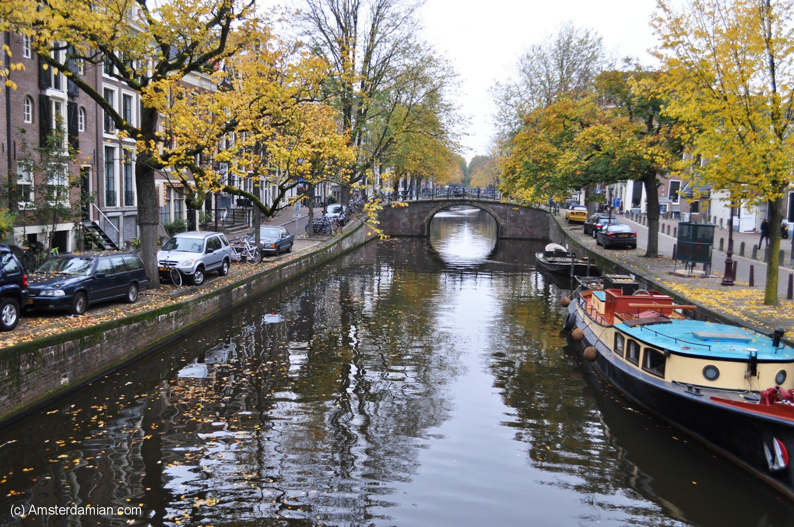 The magic of autumn | Amsterdamian - Amsterdam Blog