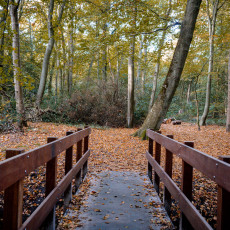 THE MAGIC OF FALL COLOURS 04