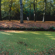 THE MAGIC OF FALL COLOURS 11