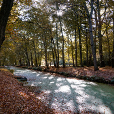 THE MAGIC OF FALL COLOURS 18