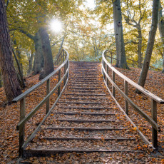 THE MAGIC OF FALL COLOURS 02