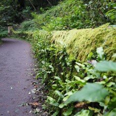 The Water of Leith route 01
