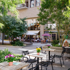 A leafy courtyard with cafe terraces in Tilburg