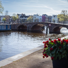 Tulp-Festival-Amsterdam-03
