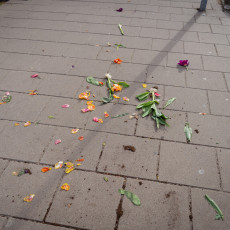 Tulp-Festival-Amsterdam-07