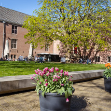 Tulp-Festival-Amsterdam-2026-Hart-Museum-02