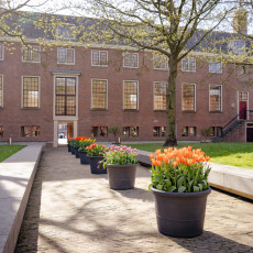 Tulp-Festival-Amsterdam-2026-Hart-Museum-03