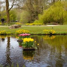 Tulp-Festival-Amsterdam-Floating-tulips-Vondelpark