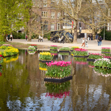 Tulp-Festival-Amsterdam-Floating-tulips-Vondelpark_1