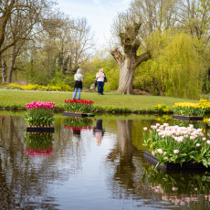 Tulp-Festival-Amsterdam-Floating-tulips-Vondelpark_2
