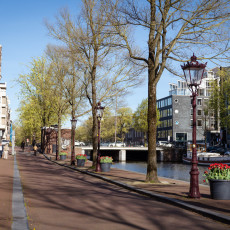 Tulp-Festival-Amsterdam-Nieuwe-Herengracht