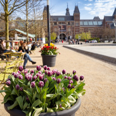 Tulp-Festival-Amsterdam-Rijksmuseum