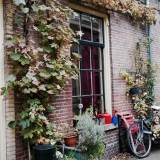 Utrecht entrances 10