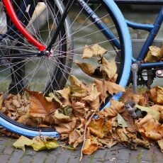 Autumn in Utrecht 14