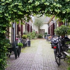 Autumn in Utrecht 22