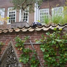 Autumn in Utrecht 23