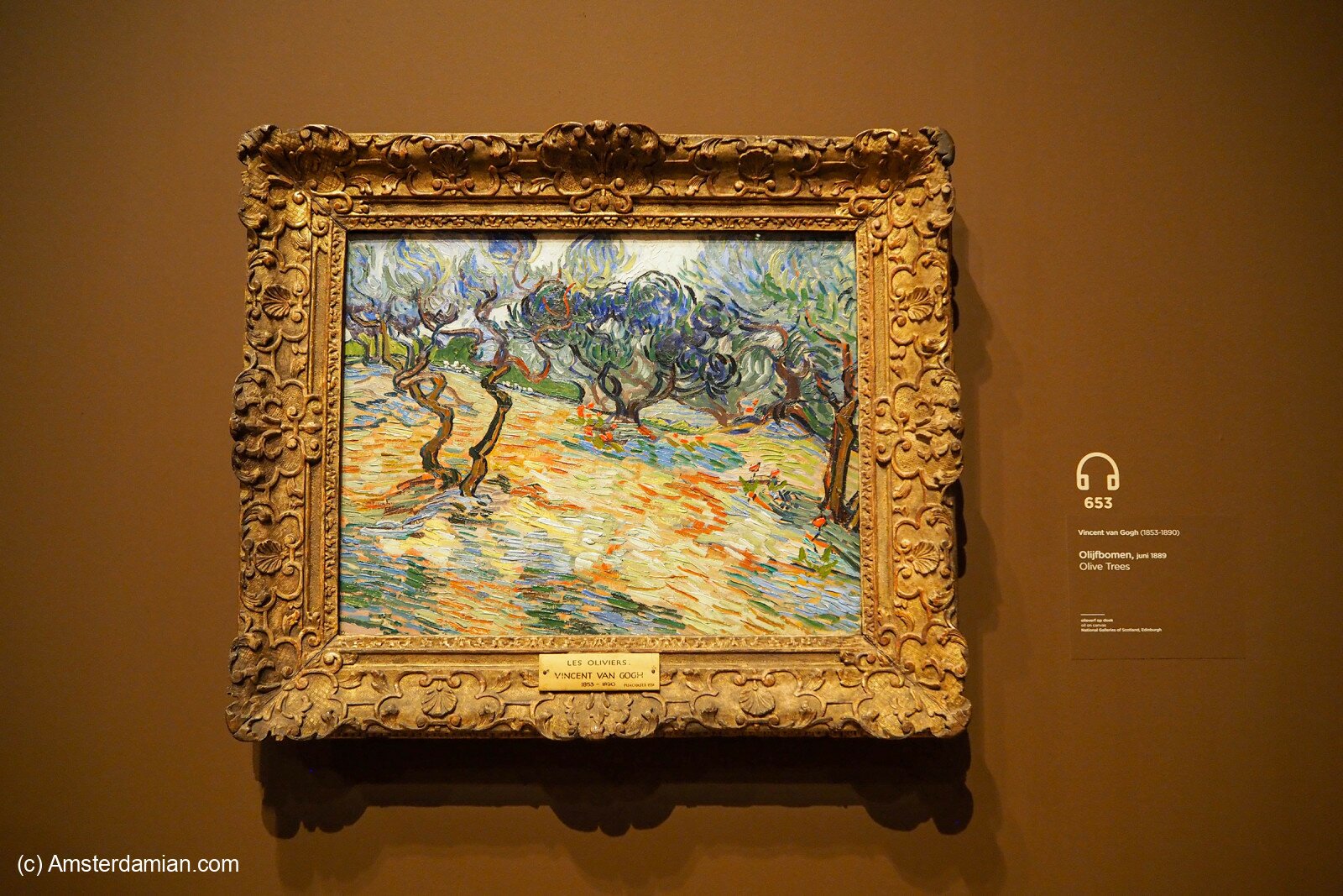 Van Gogh Olive Groves 04