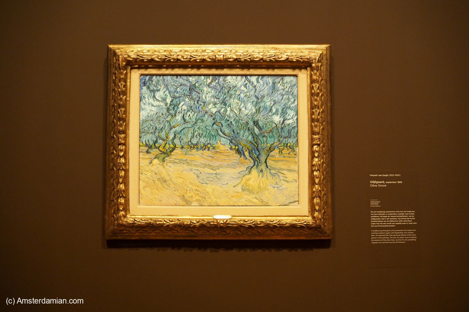 Van Gogh Olive Groves 10