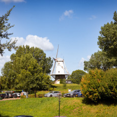 Windmill above the trees at the edge of Veere