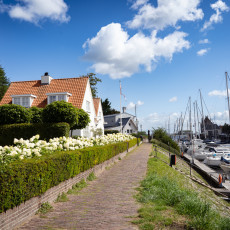 Cobbled path along the marina with white hydrangeas, Veere