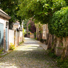 Shady cobbled lane with ivy-covered brick walls in Veere
