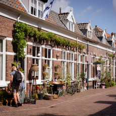 Houses covered in climbing plants on Oudestraat in Veere