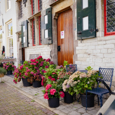 Hydrangeas in pots outside a stone house in Veere