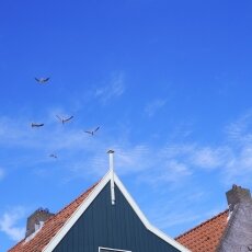 Pretty Dutch Villages: Volendam 16