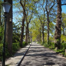 Warmond Village 04
