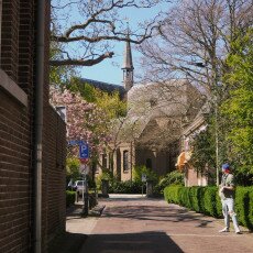 Warmond Village 15